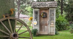 Туалет на даче может выглядеть очень оригинально Туалет на даче может выглядеть очень оригинально