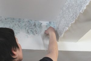 Нанесение жидких обоев своими руками Нанесение жидких обоев своими руками