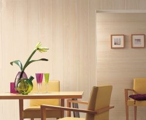 Пластиковые панели на стенах Пластиковые панели на стенах