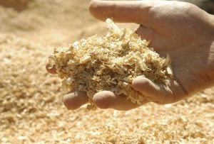 Использование опилок или мелкой стружки является эффективным и экологичным способом теплоизоляции потолка Использование опилок или мелкой стружки является эффективным и экологичным способом теплоизоляции потолка