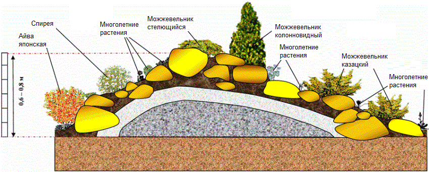 Схема высадки растений на альпийской горке
