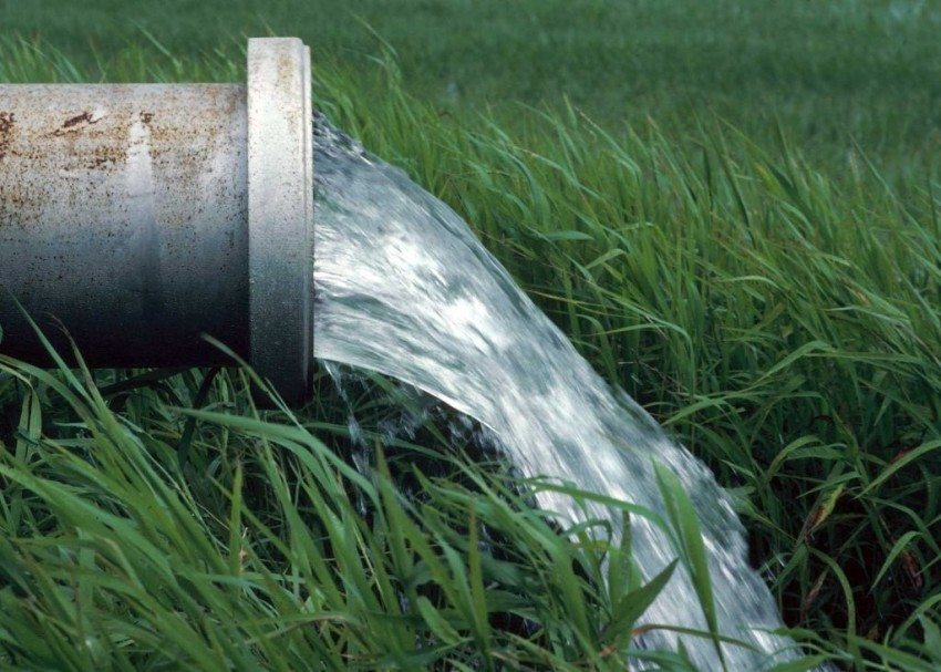 Очищенную биофильтром воду можно использовать в технических целях