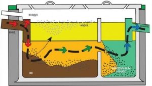 Схема движения стоков внутри септика Схема движения стоков внутри септика
