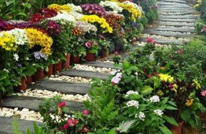 Оригинальная дорожка с использованием дерева Оригинальная дорожка с использованием дерева