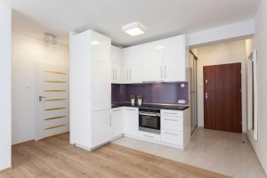 Входная дверь должна обеспечивать максимальную надежность и безопасность Входная дверь должна обеспечивать максимальную надежность и безопасность