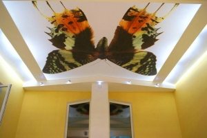 Фотопринт с изображением бабочки на тканевом натяжном потолке Фотопринт с изображением бабочки на тканевом натяжном потолке