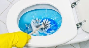 Засор в унитазе можно устранить своими руками в домашних условиях Засорился унитаз, что делать в домашних условиях