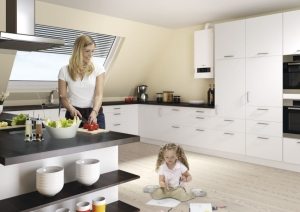 Газовые котлы с закрытой камерой сгорания безопасны и могут быть установлены непосредственно в отапливаемом помещении Газовые котлы с закрытой камерой сгорания безопасны и могут быть установлены непосредственно в отапливаемом помещении