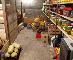 В погребе с правильным микроклиматом собранный урожай сохранится в целости В погребе с правильным микроклиматом собранный урожай сохранится в целости