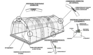Схема обустройства теплицы из поликарбоната