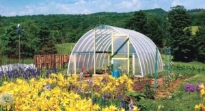 Теплицы из пластиковых труб становятся все более популярными среди огородников Теплицы из пластиковых труб становятся все более популярными среди огородников