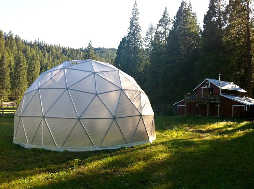 Теплицы в виде геодезического купола могут стать украшением садового участка