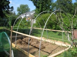 Арочные каркасы для теплиц и парников можно приобрести в специализированных магазинах или изготовить самостоятельно Арочные каркасы для теплиц и парников можно приобрести в специализированных магазинах или изготовить самостоятельно