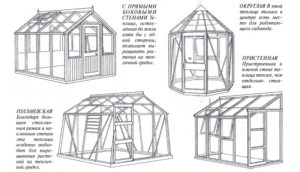 Различные виды конструкции теплиц Различные виды конструкции теплиц