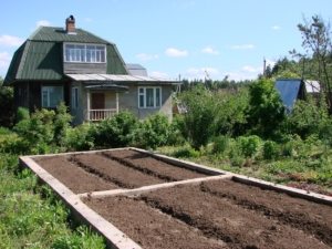 Ленточный фундамент для теплицы из поликарбоната Ленточный фундамент для теплицы из поликарбоната