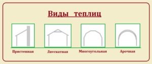 Варианты тепличных конструкций Варианты тепличных конструкций