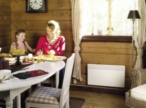 Конвектор можно монтировать практически на любую поверхность Конвектор можно монтировать практически на любую поверхность