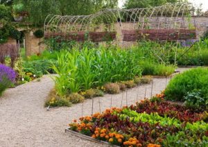 Вариант решения для тех, кто увлекается выращиванием овощей Вариант решения для тех, кто увлекается выращиванием овощей