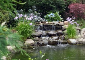 Идея дизайна рукотворного водоема на участке Идея дизайна рукотворного водоема на участке