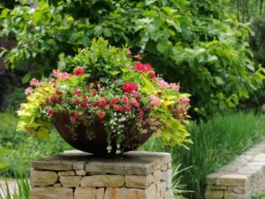 Каменный забор украшает вазон с садовыми цветами