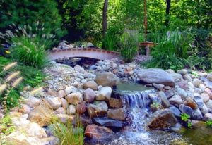 Оптимальный вариант для влаголюбивых растений – высаживание их рядом с источником воды Оптимальный вариант для влаголюбивых растений – высаживание их рядом с источником воды