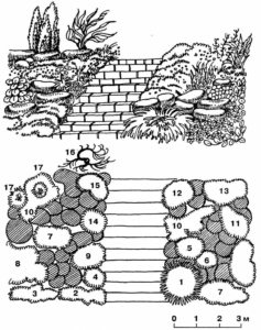 Декоративная горка-рокарий: 1 - кизильник горизонтальный; 2 - арабис альпийский; 3 - фиалка душистая; 4 - иберис; 5 - ясколка; 6 - гвоздика дернистая; 7 - камнеломка; 8 - дорокум кавказский; 9 - колокольчик карпатский; 10 - флокс гниловидный; 11 - дицентра; 12 - гипсофила; 13 - солидаго канадский; 14 - алиссум; 15 - астра альпийская; 16 - тамарикс; 17 - можжевельник обыкновенный Декоративная горка-рокарий: 1 - кизильник горизонтальный; 2 - арабис альпийский; 3 - фиалка душистая; 4 - иберис; 5 - ясколка; 6 - гвоздика дернистая; 7 - камнеломка; 8 - дорокум кавказский; 9 - колокольчик карпатский; 10 - флокс гниловидный; 11 - дицентра; 12 - гипсофила; 13 - солидаго канадский; 14 - алиссум; 15 - астра альпийская; 16 - тамарикс; 17 - можжевельник обыкновенный