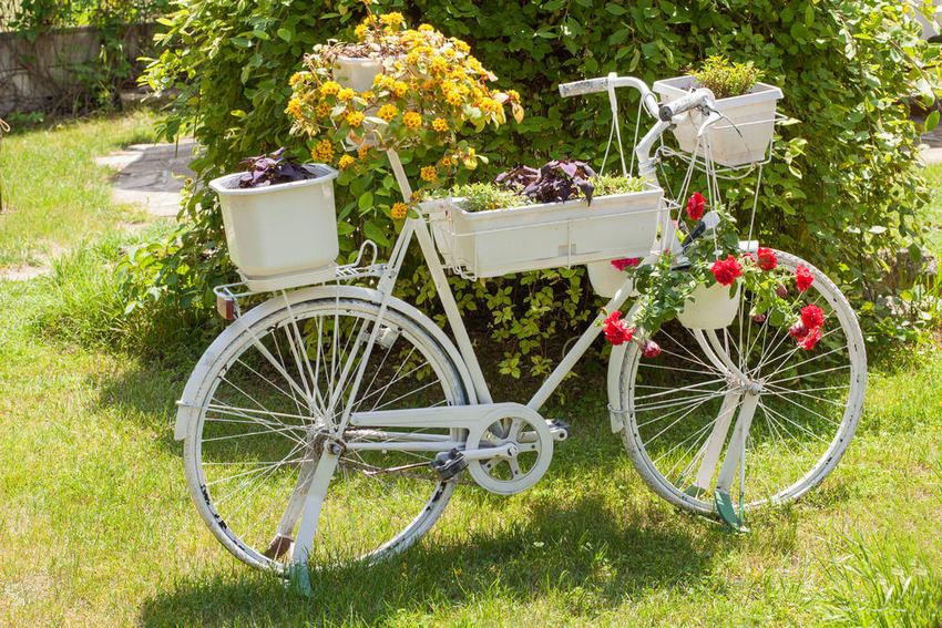 Старый велосипед, декорированный контейнерами с цветами