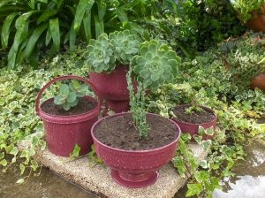 Вазоны из автомобильных шин во дворе частного дома Вазоны из автомобильных шин во дворе частного дома