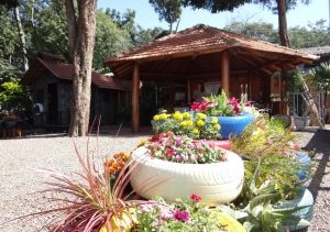 Многоуровневая композиция из шин, выкрашенных в яркие цвета Многоуровневая композиция из шин, выкрашенных в яркие цвета