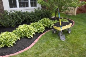 Важный этап устройства клумбы – подготовка почвы для посадки растений