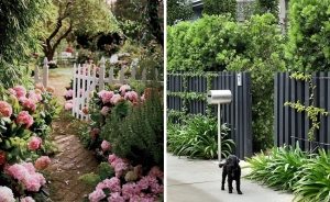 Деревянный забор можно сделать еще красивее с помощью цветов и зеленых насаждений