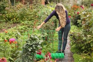 Пластиковая сетка является достаточно универсальным материалом и применяется не только для обустройства заборов Пластиковая сетка является достаточно универсальным материалом и применяется не только для обустройства заборов