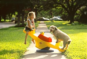 Пластмассовые качели балансирующего типа Пластмассовые качели балансирующего типа