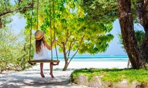 Для уличных подвесных качелей лучше выбирать доски из лиственных пород деревьев Для уличных подвесных качелей лучше выбирать доски из лиственных пород деревьев