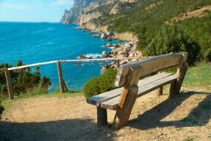 Скамейка со спинкой, изготовленная из бревен и досок Скамейка со спинкой, изготовленная из бревен и досок