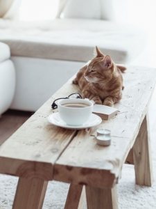 Простая лавка без спинки может использоваться не только для сидения, но и в качестве столика Простая лавка без спинки может использоваться не только для сидения, но и в качестве столика