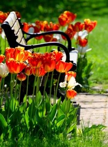 Изделия из металла отличаются высокой прочностью и длительными сроками эксплуатации при минимальном уходе Изделия из металла отличаются высокой прочностью и длительными сроками эксплуатации при минимальном уходе