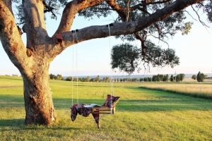 Качели, подвешенные на дерево с помощью веревки Качели, подвешенные на дерево с помощью веревки