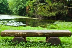 Для создания скамейки из поваленного дерева необходима бензопила Для создания скамейки из поваленного дерева необходима бензопила