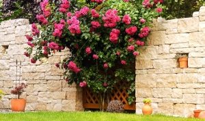 Забор из камня выглядит роскошно и основательно Забор из камня выглядит роскошно и основательно