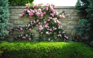 Забор вокруг частного дома, облицованный искусственным камнем Забор вокруг частного дома, облицованный искусственным камнем