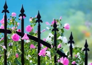 Кованые металлические конструкции ограждений уже давно стали классикой и всегда будут в моде Кованые металлические конструкции ограждений уже давно стали классикой и всегда будут в моде