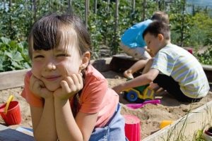 Дерево – самый экологичный материал для строительства песочницы и других элементов детской площадки Дерево – самый экологичный материал для строительства песочницы и других элементов детской площадки