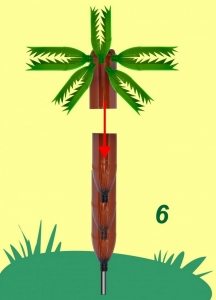 Рис. 4-4. Изготовление пальмы из пластиковых бутылок. Крепление кроны к стволу: 6 - закрепите верхушку пальмы как указано на схеме Рис. 4-4. Изготовление пальмы из пластиковых бутылок. Крепление кроны к стволу: 6 - закрепите верхушку пальмы как указано на схеме