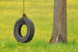 Качели из цельной покрышки, подвешенные к ветке дерева Качели из цельной покрышки, подвешенные к ветке дерева
