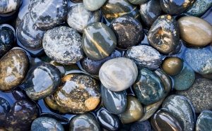 Речной камень более устойчив к высокой температуре, чем морской Речной камень более устойчив к высокой температуре, чем морской