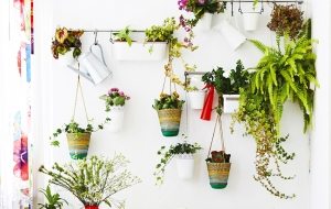 Интересные кашпо на металлических держателях могут стать отличным решением в помещении с окрашенными стенами Интересные кашпо на металлических держателях могут стать отличным решением в помещении с окрашенными стенами