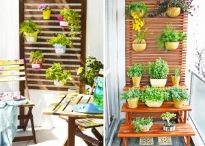 В случае установки цветов близко к стене - отделка лоджии должна быть практичной и моющейся В случае установки цветов близко к стене - отделка лоджии должна быть практичной и моющейся