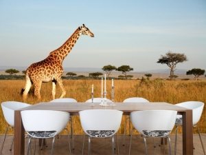 Фотообои с оригинальным изображением Фотообои с оригинальным изображением