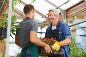По всем показателям парник из профиля является прочным, надежным, долговечным и безопасным По всем показателям парник из профиля является прочным, надежным, долговечным и безопасным